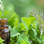 La imagen tiene un atributo ALT vacío; su nombre de archivo es aceites-medicinales--1024x468.jpg