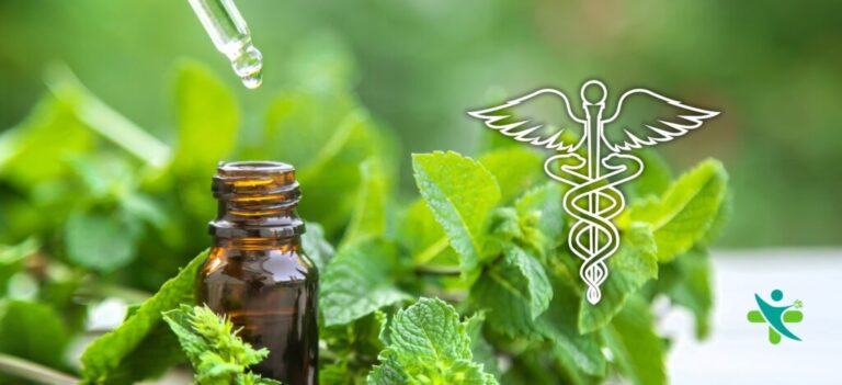 La imagen tiene un atributo ALT vacío; su nombre de archivo es aceites-medicinales--1024x468.jpg
