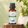 Mezcla de Aceite Esencial de Eucalipto Jazlyn Perfumería en frasco de 10 ml , sobre tronco con ramas y flores, fondo verde claro con sombras, ideal para humidificador y aromaterapia respiratoria